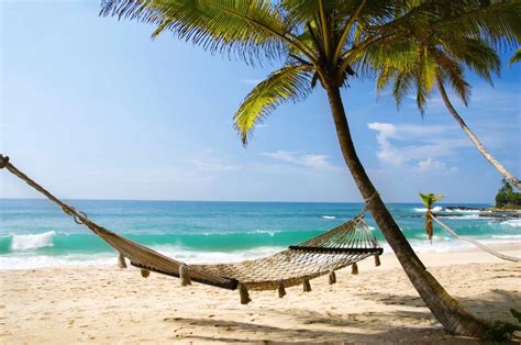 An empty hammock slung between palm trees on a tropical beach